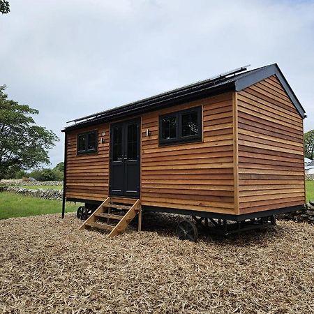 Woodland Shepherds Hut - 'Saga' Κερνάρφον Εξωτερικό φωτογραφία